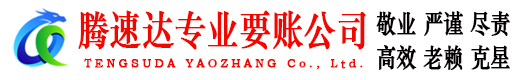 谯城要账公司